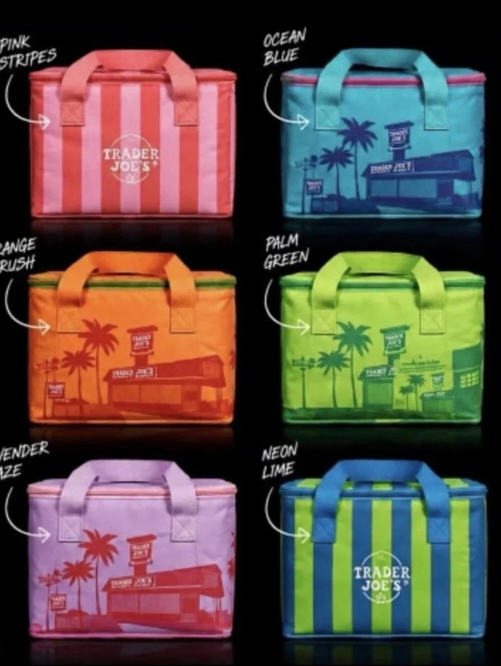 Set of 6 Trader Joe's Mini Insulated Bags - Summer Edition - Picture 7 of 7